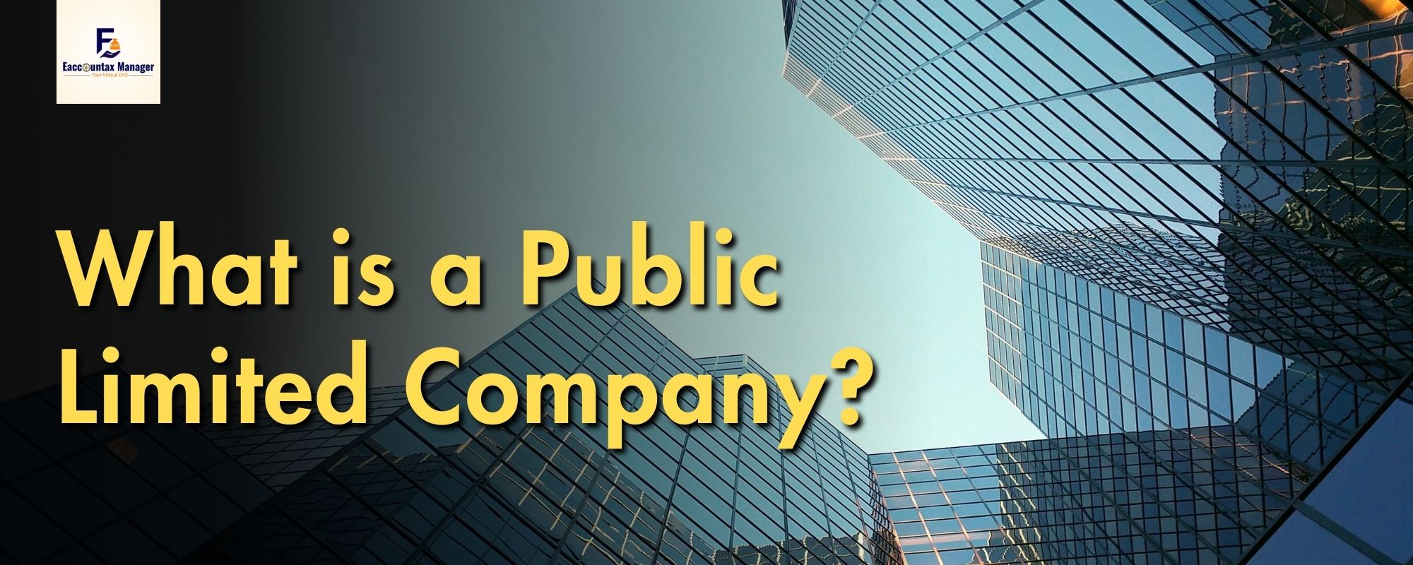 What is a Public Limited Company (1)